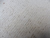 K01_1728.sized.jpg