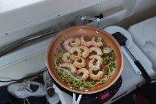 DSC05027.jpg