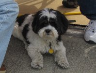 IMG_0392.jpg