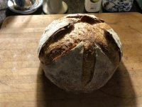 Normal_bread.sized.jpg