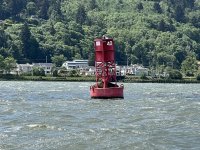 036SealOnBuoy.jpg