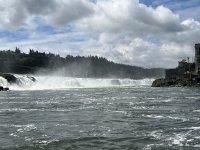 231WillametteFalls.jpg
