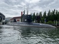 239USSBlueBack.jpg
