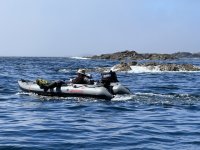 IMG_8091.sized.jpg