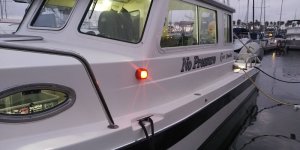 IMG_20220802_200946.jpg