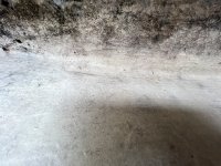 IMG_3360.jpg