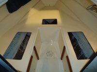 DSC00564.jpg