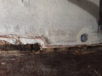 20201231_134935.sized.jpg