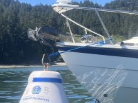 011EagleHarborMooringBallHookup.jpg