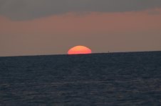 P1030299.sized.jpg