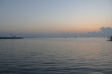 P1030332.sized.jpg