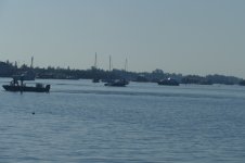 P1030346.jpg