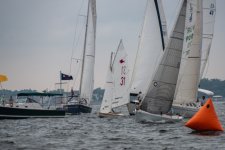 regatta8.sized.jpg