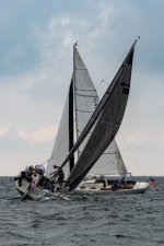 regatta9.sized.jpg