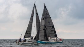 regatta10.sized.jpg