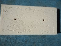 DSC00778.sized.jpg