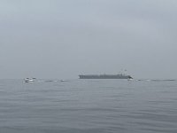 075PounderSeaSpray.jpg
