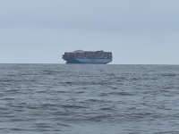 175ContainerShipCharleston.jpg