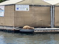 182MarinaDelRey.jpg