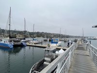 IMG_8276.jpg