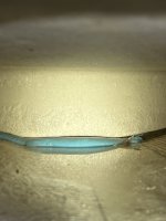IMG_4876.sized.jpg