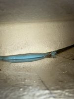 IMG_4877.sized.jpg