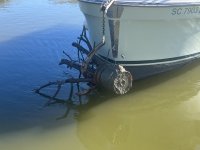 510MysteryGirlAnchorCatch.jpg