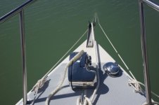 Spring_lines_2.sized.jpg