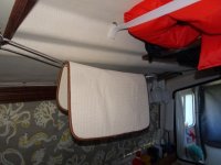 DSC00464.sized.jpg