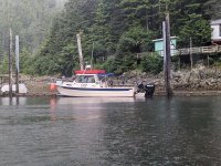 PXL_20240731_231303403.jpg