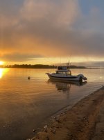 IMG_0764.jpg