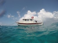 GOPR3663.jpg