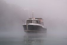 54291131541_74b3d9d7b7_b.jpg 54291131541_74b3d9d7b7_b.jpg