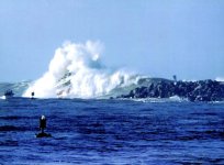 m.v._mojo_morro_bay_1978.jpg