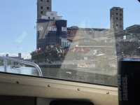 IMG_2379.jpeg