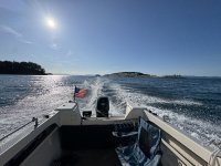 IMG_9145.jpeg