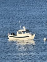 IMG_9013.jpeg