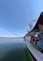 Starlink.jpg Starlink.jpg