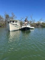 Rossi vs Marinaut.jpg