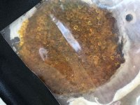 IMG_6101.jpeg