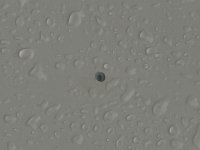 IMG_3376.jpeg