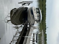 IMG_1441.jpeg