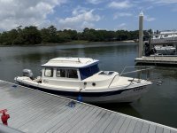 IMG_8149.jpeg IMG_8149.jpeg