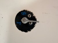 IMG_6338.jpeg