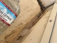 IMG_6503.jpeg