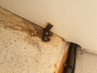 IMG_6501.jpeg