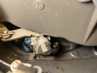 IMG_4355.jpeg