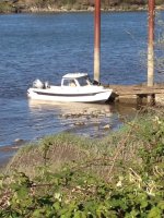 Snohomish River.JPG