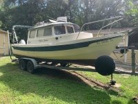 Piper Jane 6.jpg