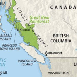 Great Bear Rainforest